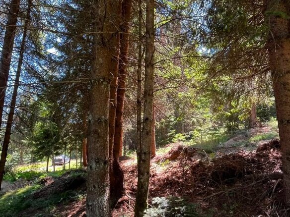 Großes Naturgrundstück mit Waldanteil bei Rožaje mit Bergblick zum Kauf – Ro30
