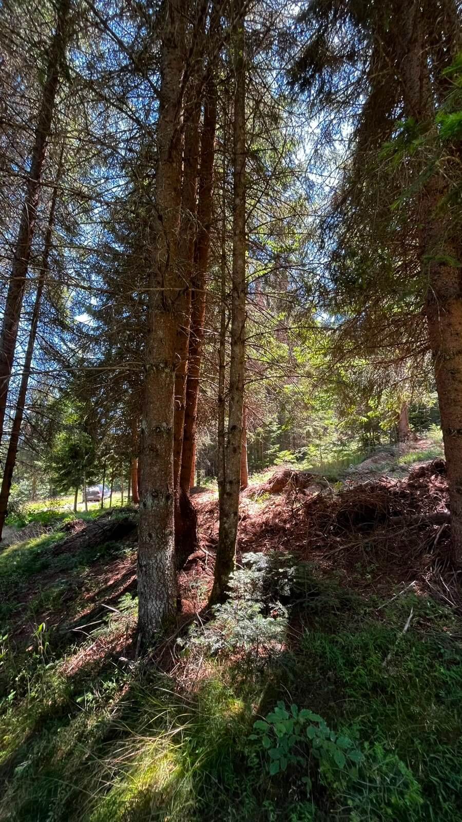 Großes Naturgrundstück mit Waldanteil bei Rožaje mit Bergblick zum Kauf – Ro30