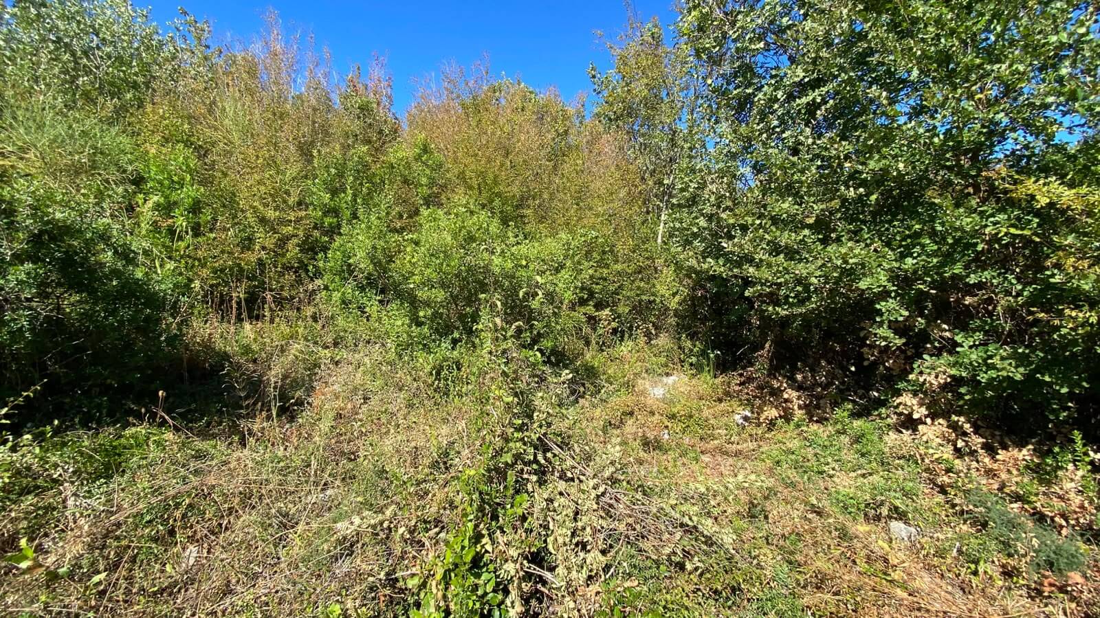Urbanisiertes Grundstück in Šušanj/ Bar zum Kauf – B101