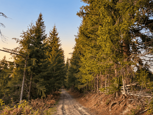 Weitläufiges Grundstück mit Wald und Bergblick in Rožaje zum Kauf – Ro34