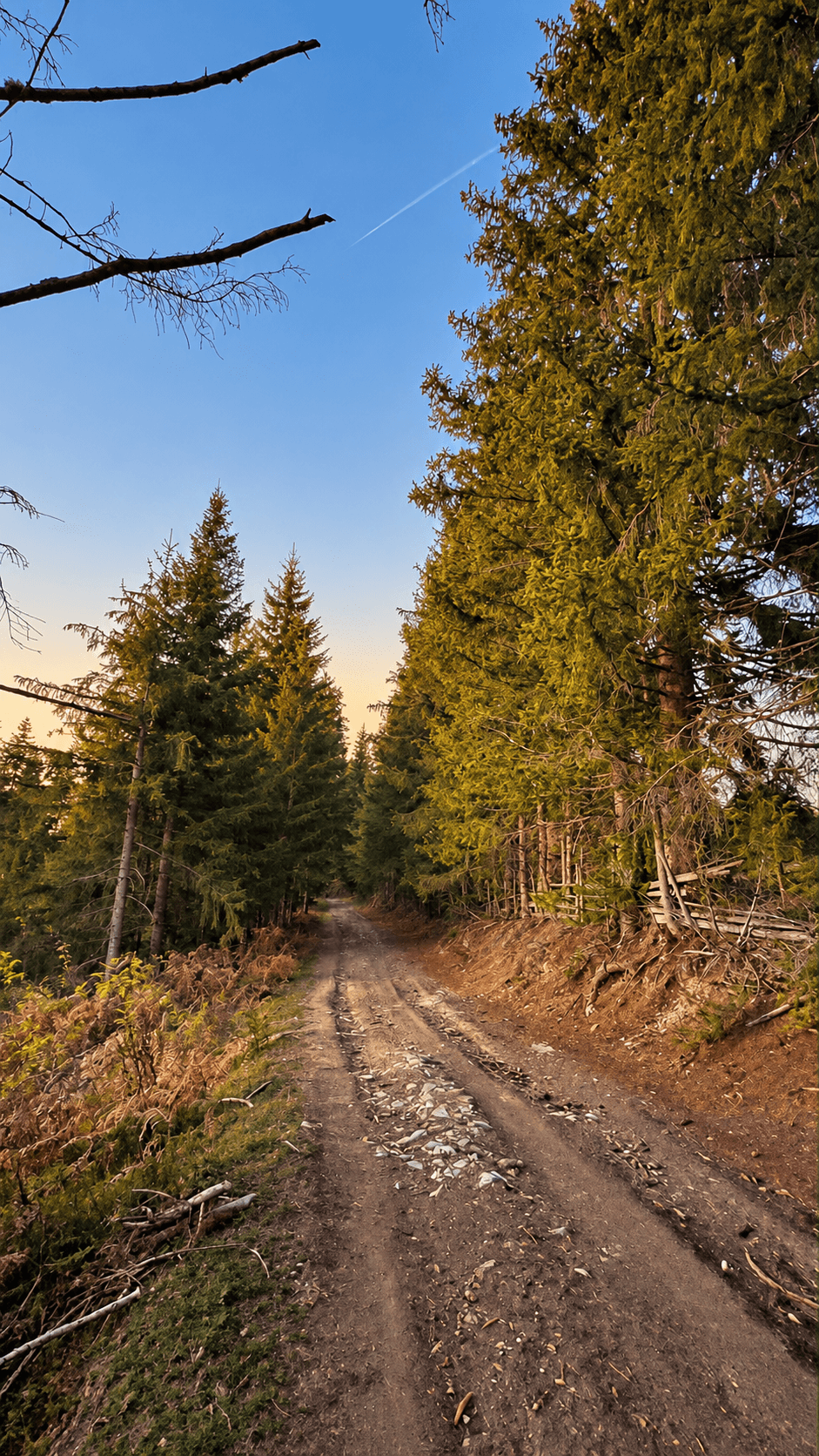 Weitläufiges Grundstück mit Wald und Bergblick in Rožaje zum Kauf – Ro34