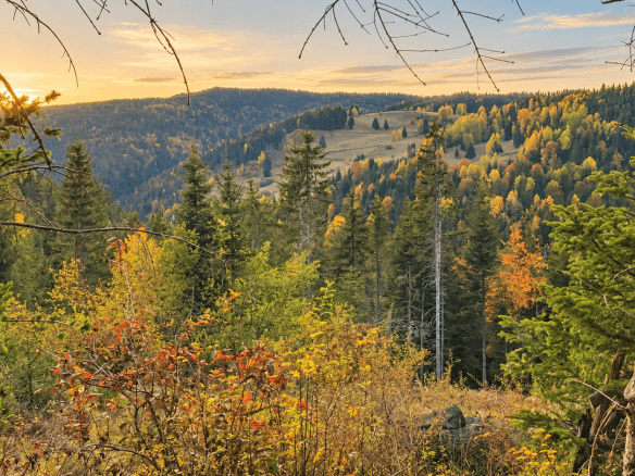 Weitläufiges Grundstück mit Wald und Bergblick in Rožaje zum Kauf – Ro34