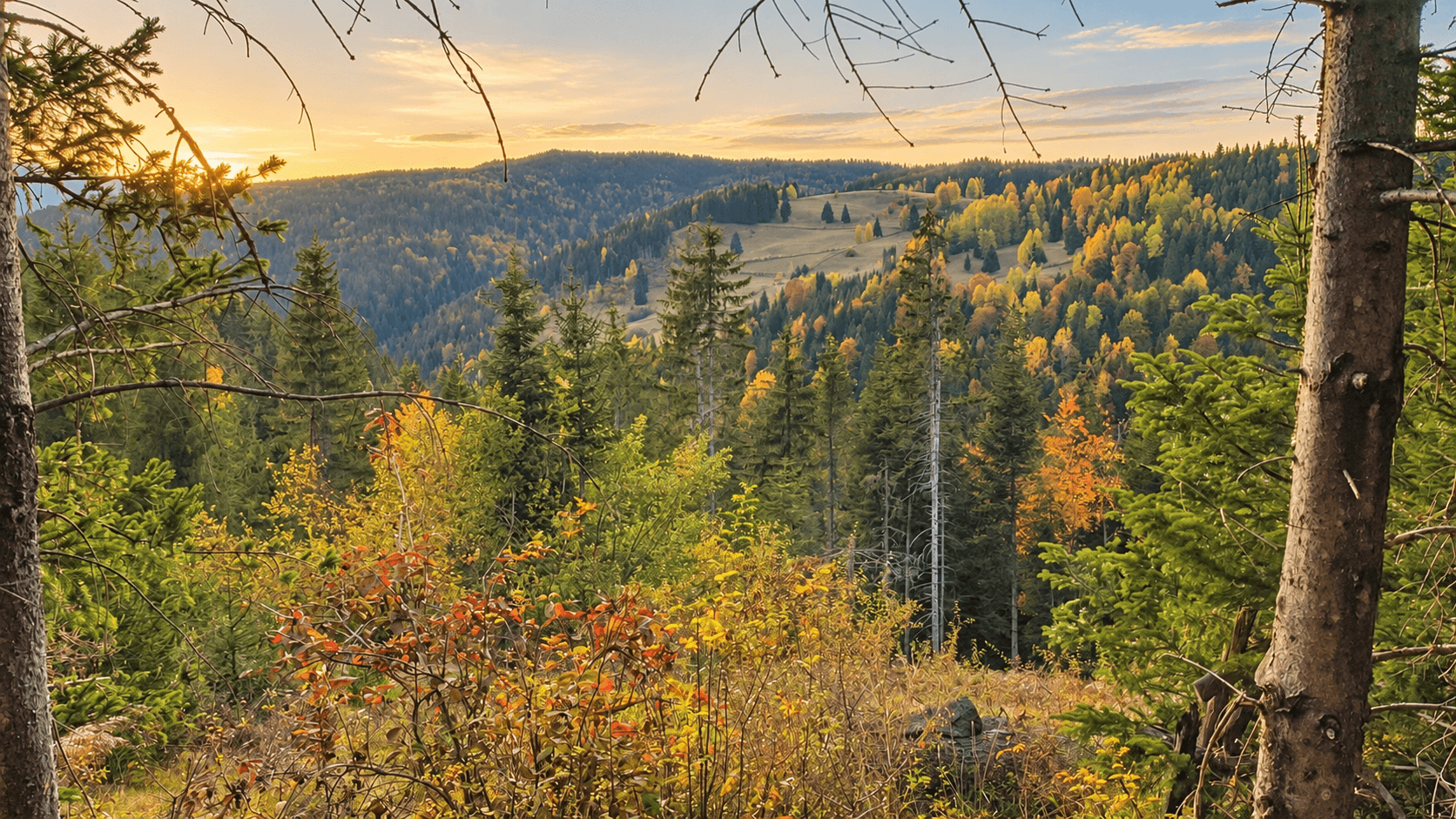 Weitläufiges Grundstück mit Wald und Bergblick in Rožaje zum Kauf – Ro34