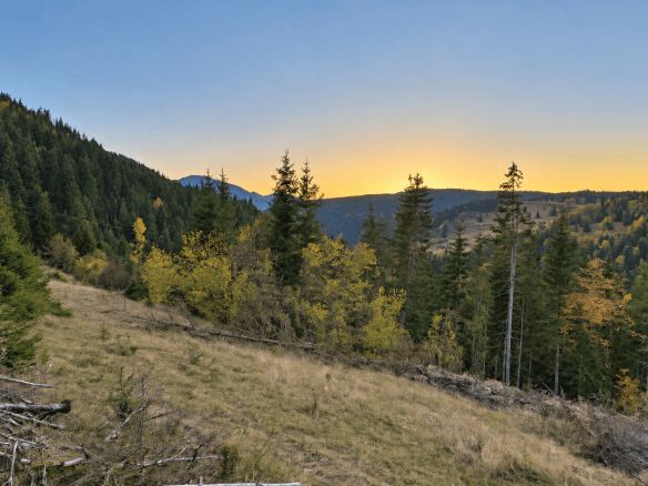 Weitläufiges Grundstück mit Wald und Bergblick in Rožaje zum Kauf – Ro34