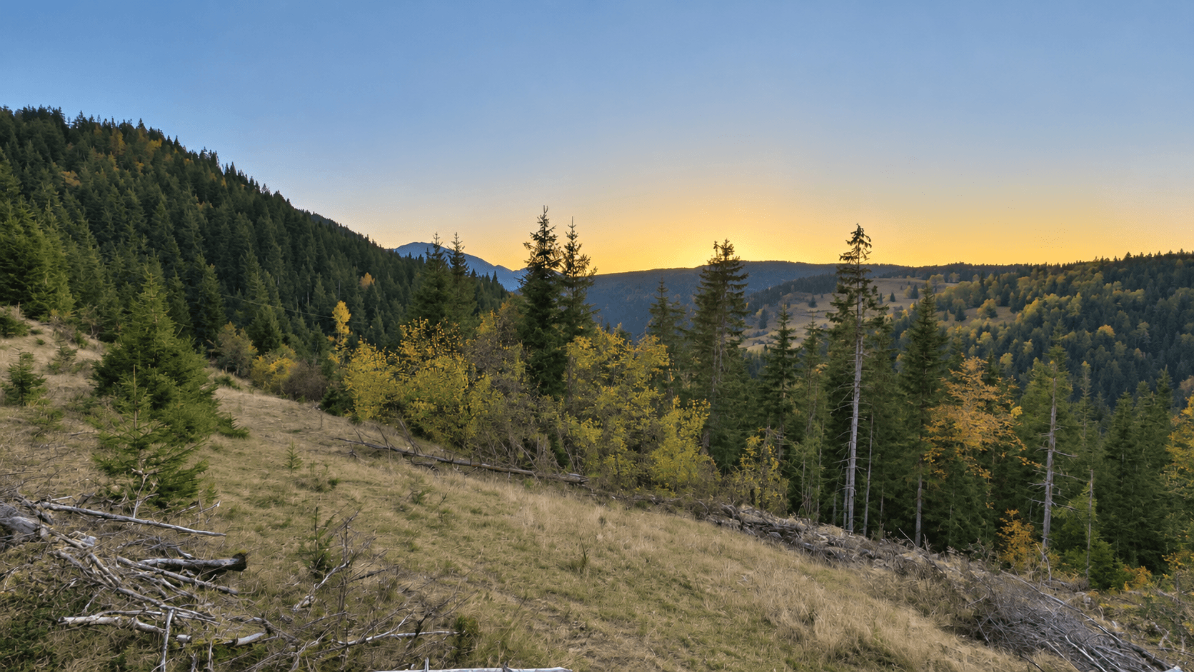 Weitläufiges Grundstück mit Wald und Bergblick in Rožaje zum Kauf – Ro34