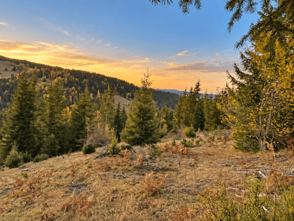 Weitläufiges Grundstück mit Wald und Bergblick in Rožaje zum Kauf – Ro34