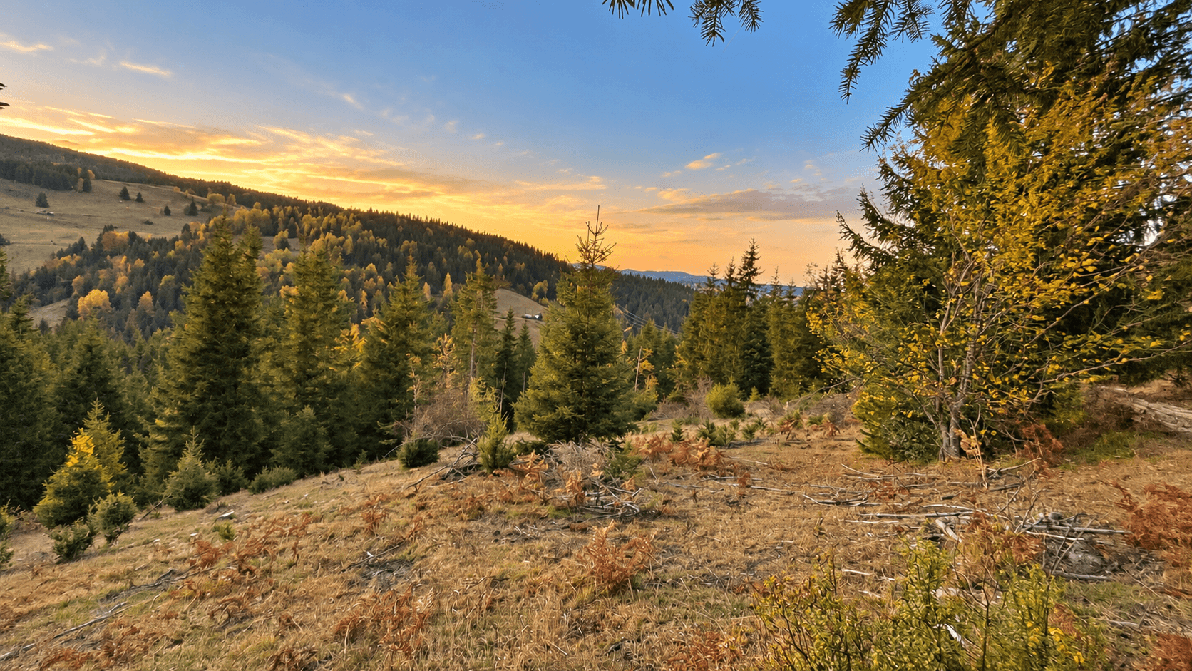 Weitläufiges Grundstück mit Wald und Bergblick in Rožaje zum Kauf – Ro34