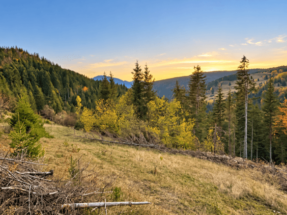 Weitläufiges Grundstück mit Wald und Bergblick in Rožaje zum Kauf – Ro34