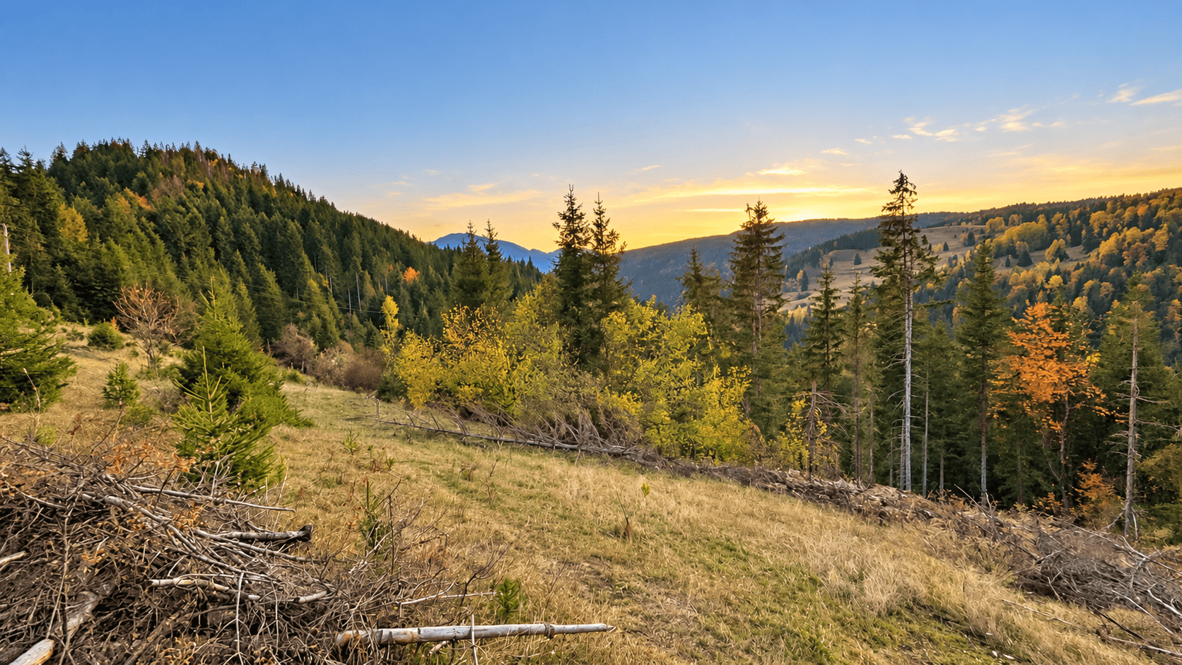 Weitläufiges Grundstück mit Wald und Bergblick in Rožaje zum Kauf – Ro34
