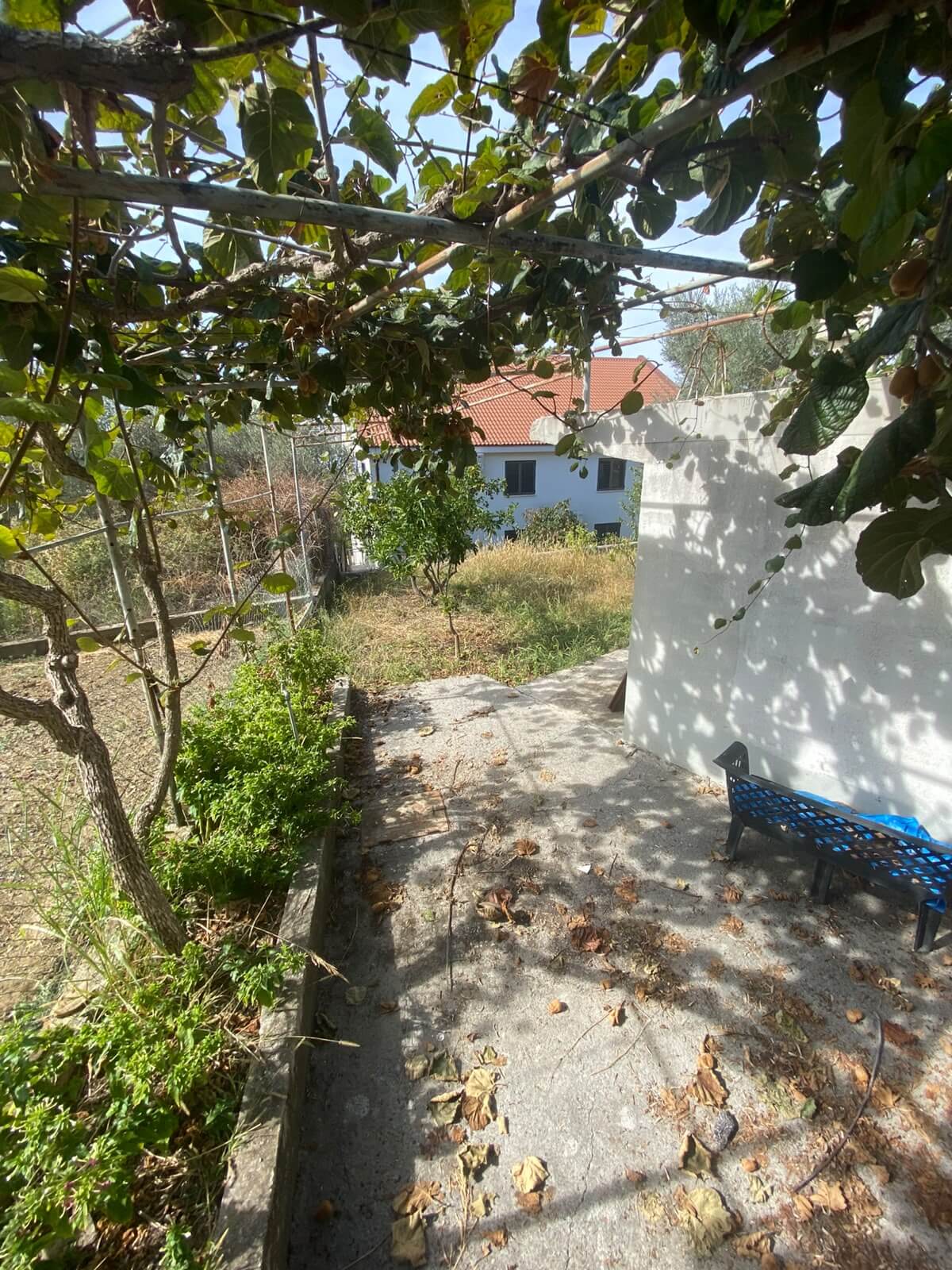 Einfamilienhaus in Mirovica/Bar mit großem Grundstück und Erweiterungspotenzial zum Kauf – BHK144