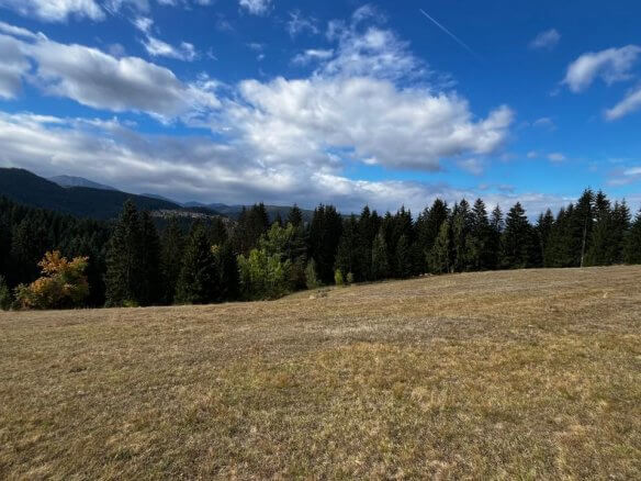 Grundstück mit Bergblick in Rožaje zum Kauf – Ro33