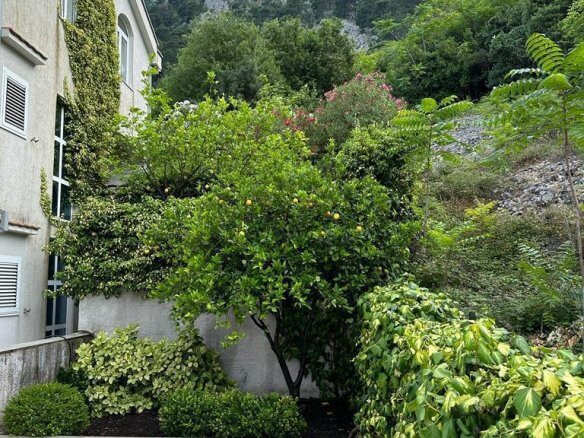 Traum-Villa mit spektakulärem Panoramablick auf die Bucht von Kotor zum Kauf – KoHK02