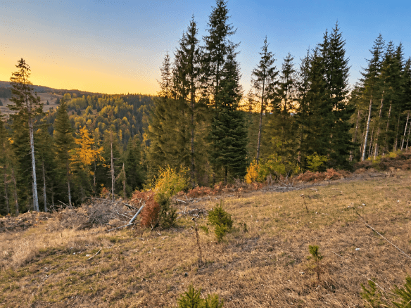Weitläufiges Grundstück mit Wald und Bergblick in Rožaje zum Kauf – Ro34