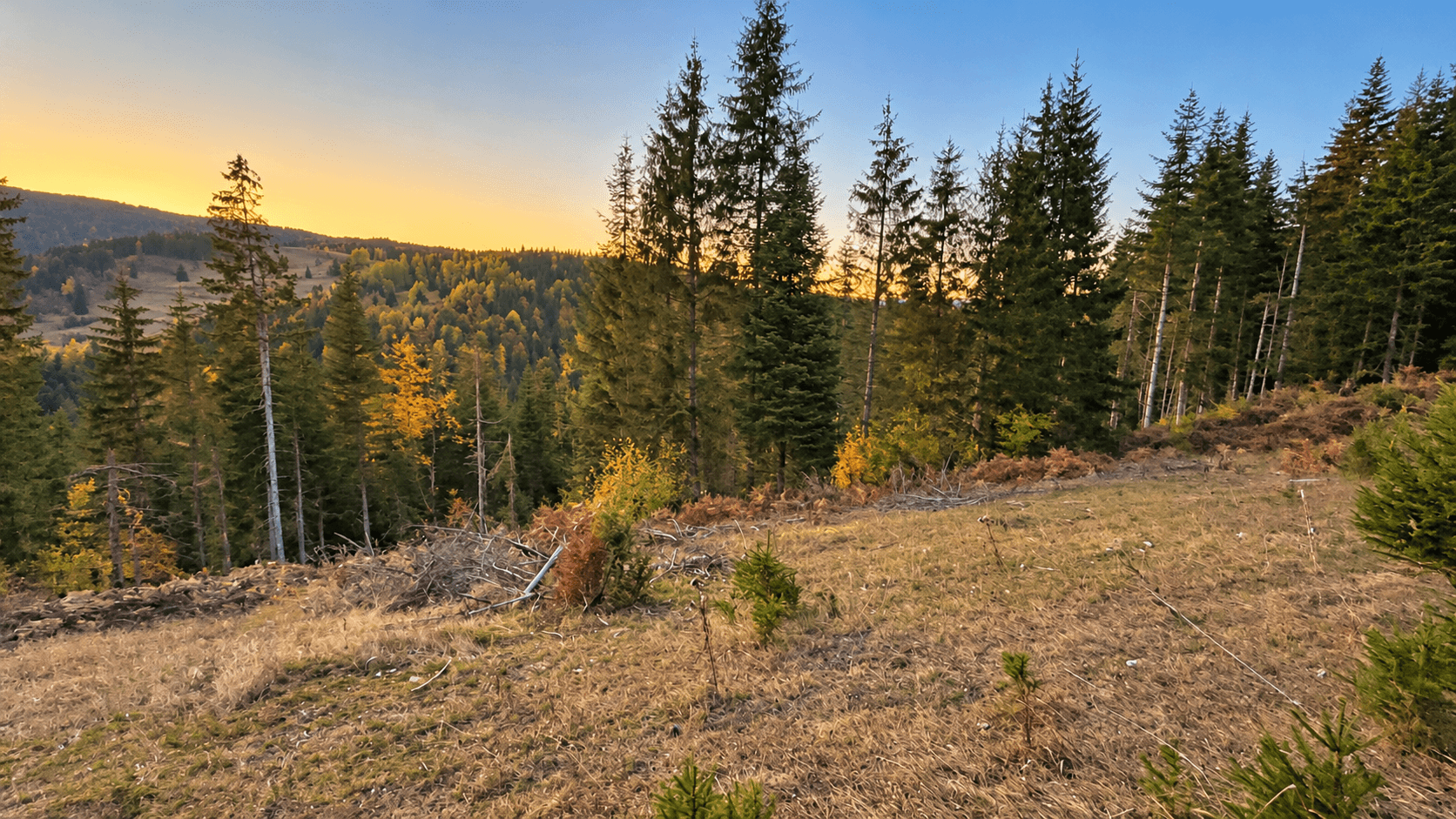 Weitläufiges Grundstück mit Wald und Bergblick in Rožaje zum Kauf – Ro34