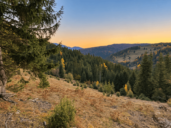 Weitläufiges Grundstück mit Wald und Bergblick in Rožaje zum Kauf – Ro34