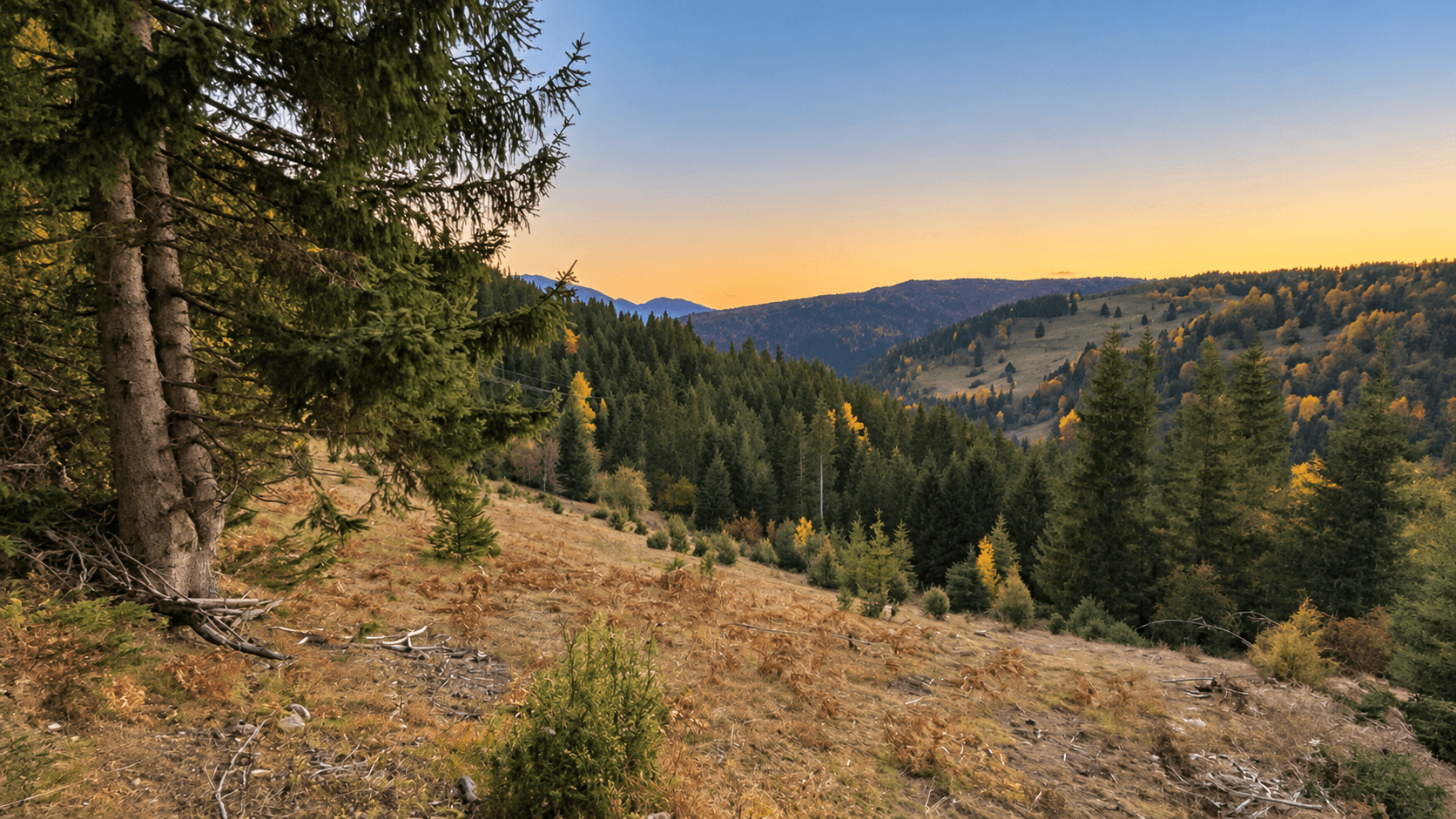 Weitläufiges Grundstück mit Wald und Bergblick in Rožaje zum Kauf – Ro34