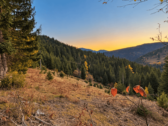 Weitläufiges Grundstück mit Wald und Bergblick in Rožaje zum Kauf – Ro34