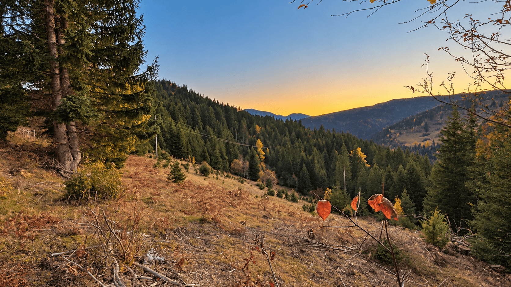 Weitläufiges Grundstück mit Wald und Bergblick in Rožaje zum Kauf – Ro34